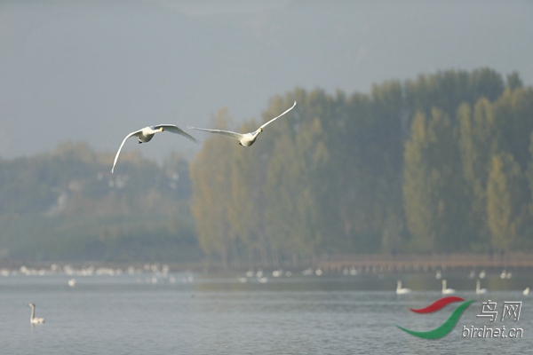 _E8J0710.jpg