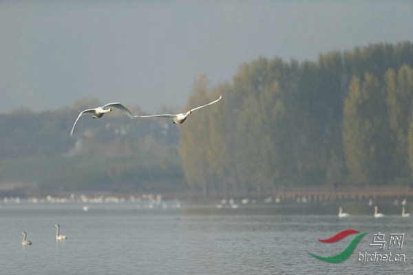 _E8J0707.jpg