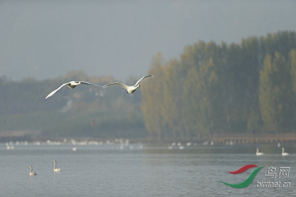_E8J0706.jpg
