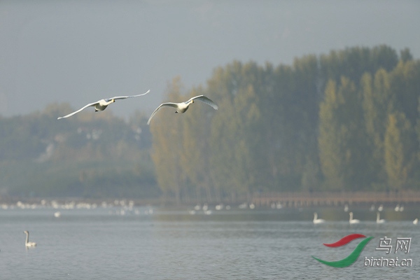 _E8J0709.jpg