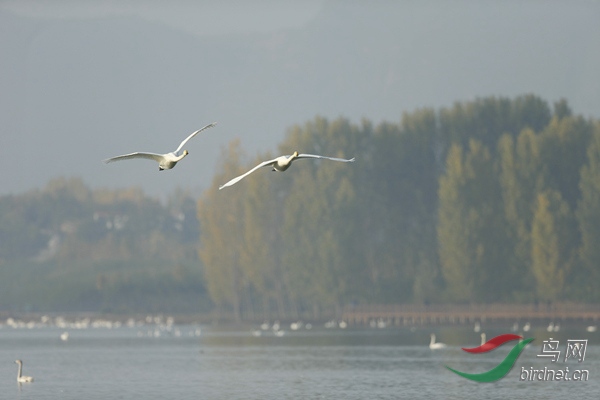 _E8J0711.jpg