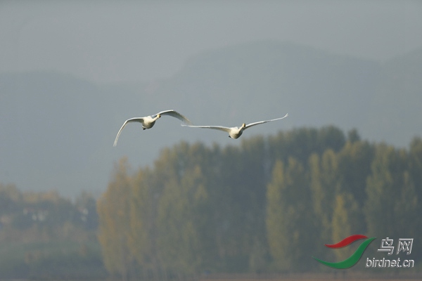 _E8J0717.jpg