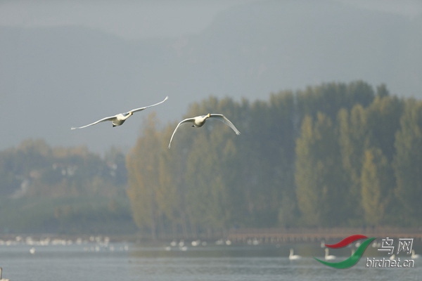 _E8J0712.jpg