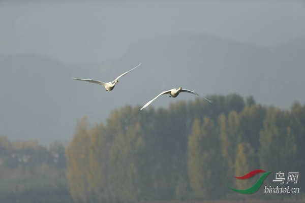 _E8J0718.jpg