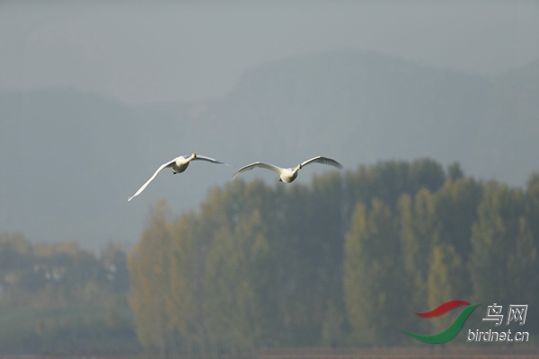 _E8J0716.jpg