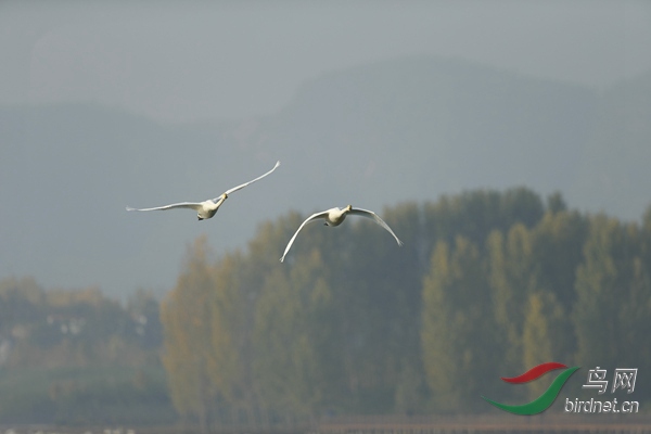 _E8J0715.jpg