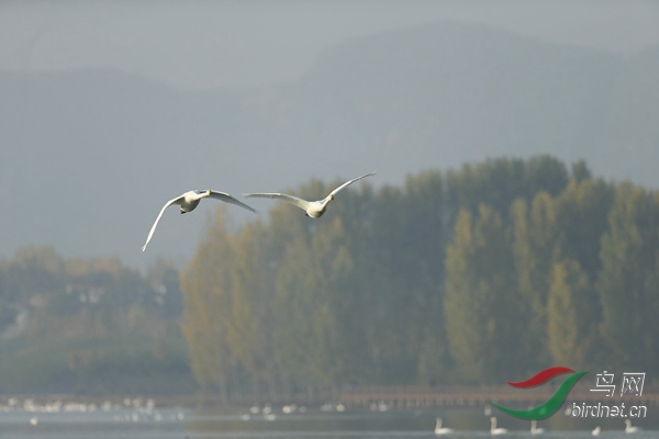 _E8J0713.jpg