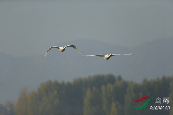 _E8J0724.jpg