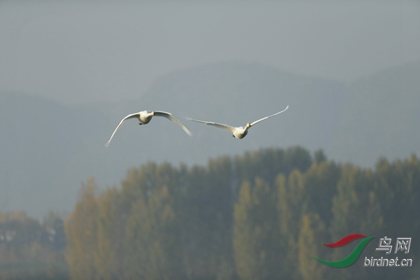 _E8J0720.jpg