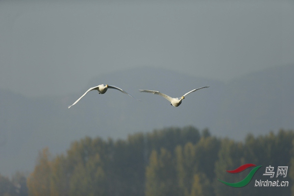 _E8J0723.jpg