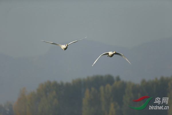 _E8J0725.jpg