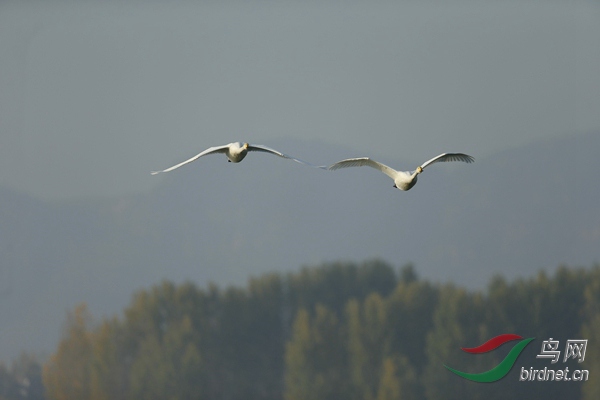 _E8J0726.jpg