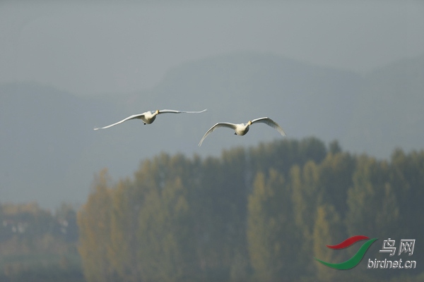_E8J0719.jpg