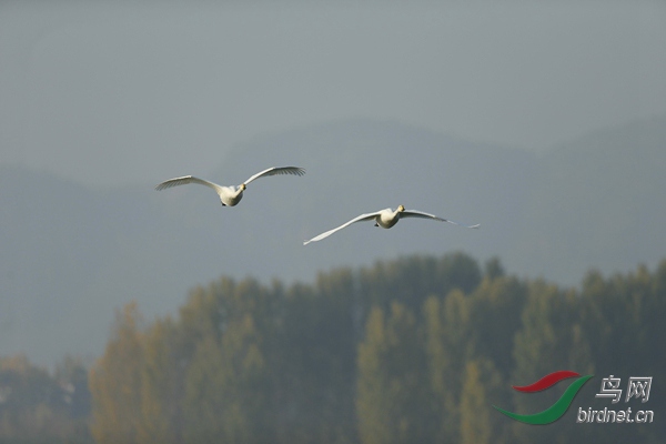 _E8J0721.jpg