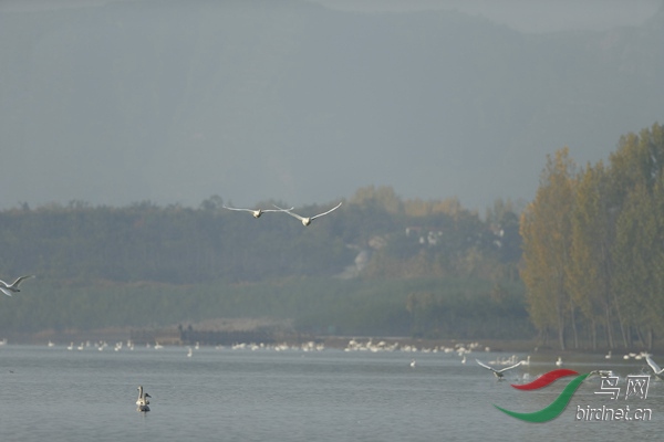 _E8J0732.jpg