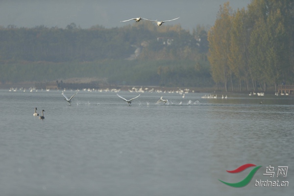_E8J0734.jpg