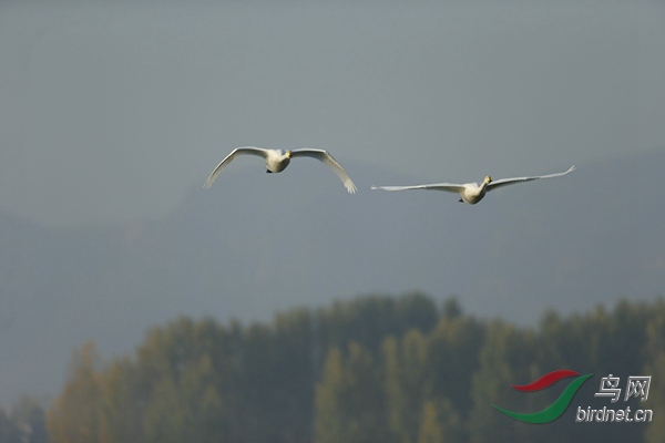 _E8J0727.jpg