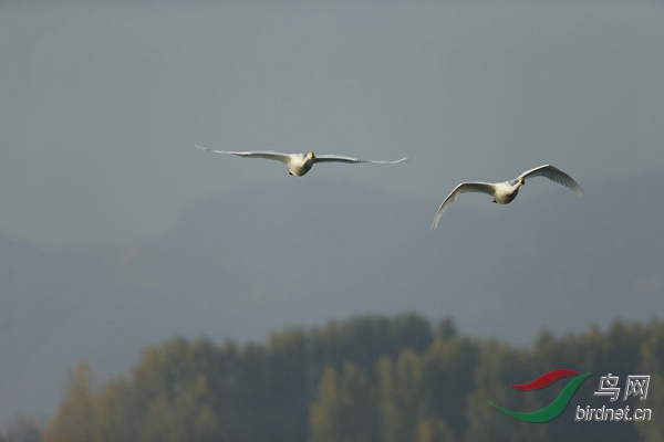 _E8J0728.jpg