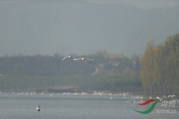 _E8J0733.jpg