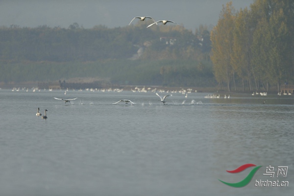 _E8J0735.jpg