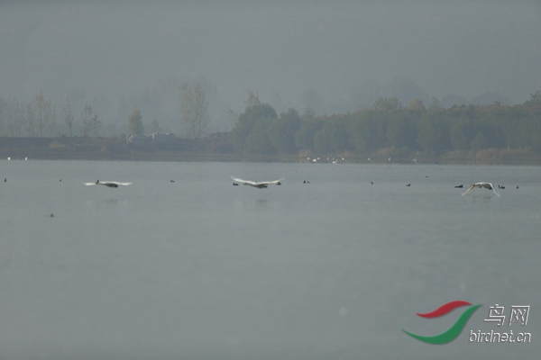_E8J0741.jpg