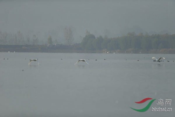 _E8J0742.jpg