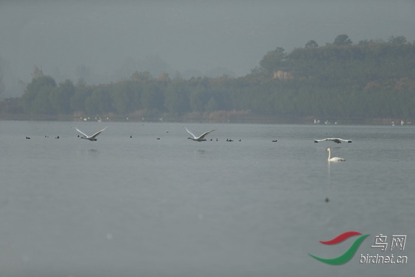 _E8J0739.jpg