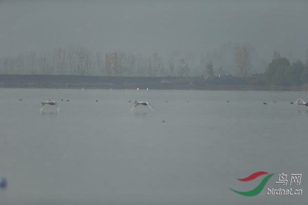 _E8J0745.jpg