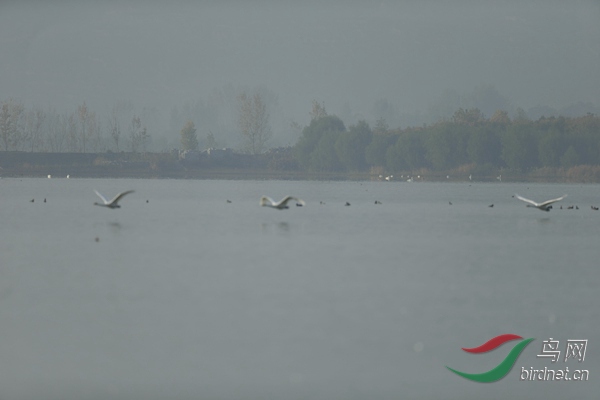 _E8J0743.jpg