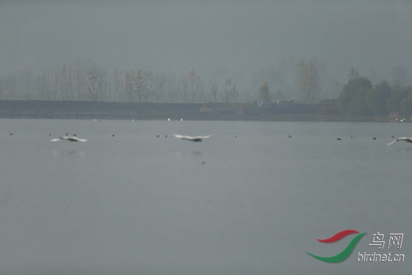 _E8J0744.jpg