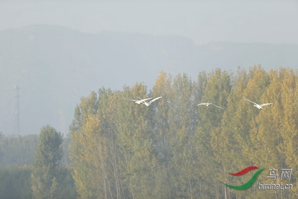 _E8J0758.jpg