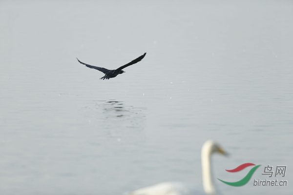 _E8J0798.jpg
