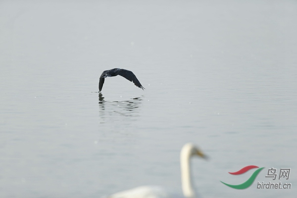 _E8J0799.jpg