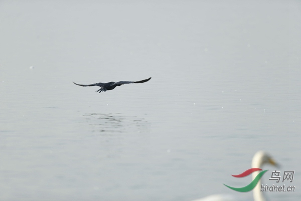 _E8J0796.jpg