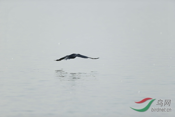 _E8J0794.jpg