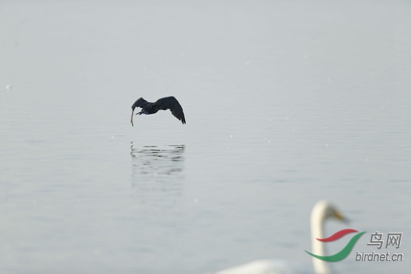 _E8J0797.jpg