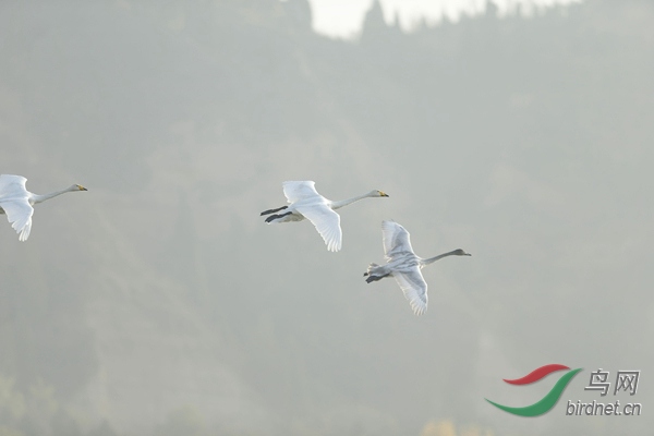 _E8J0810.jpg
