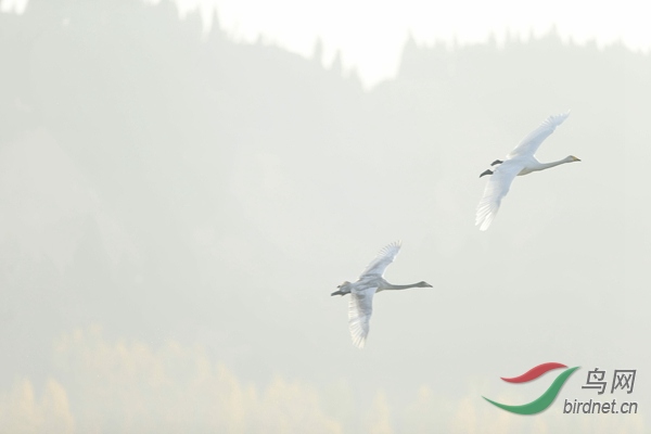 _E8J0820.jpg