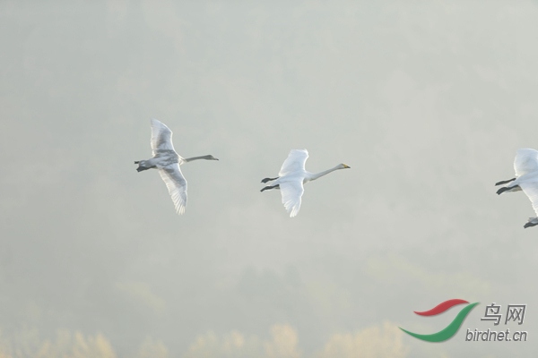 _E8J0813.jpg