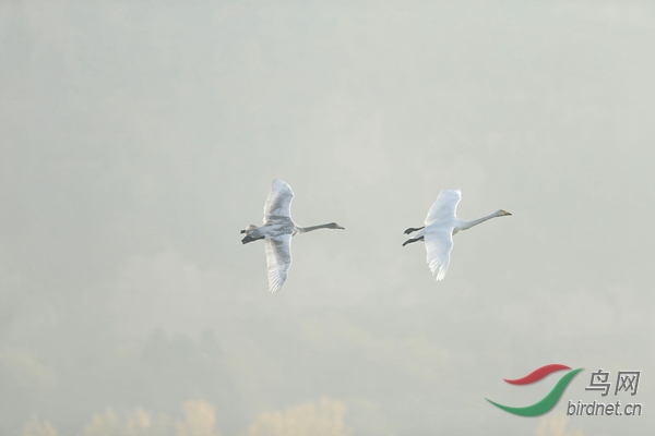 _E8J0815.jpg