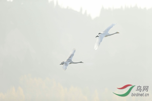 _E8J0819.jpg