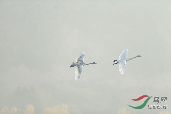 _E8J0816.jpg