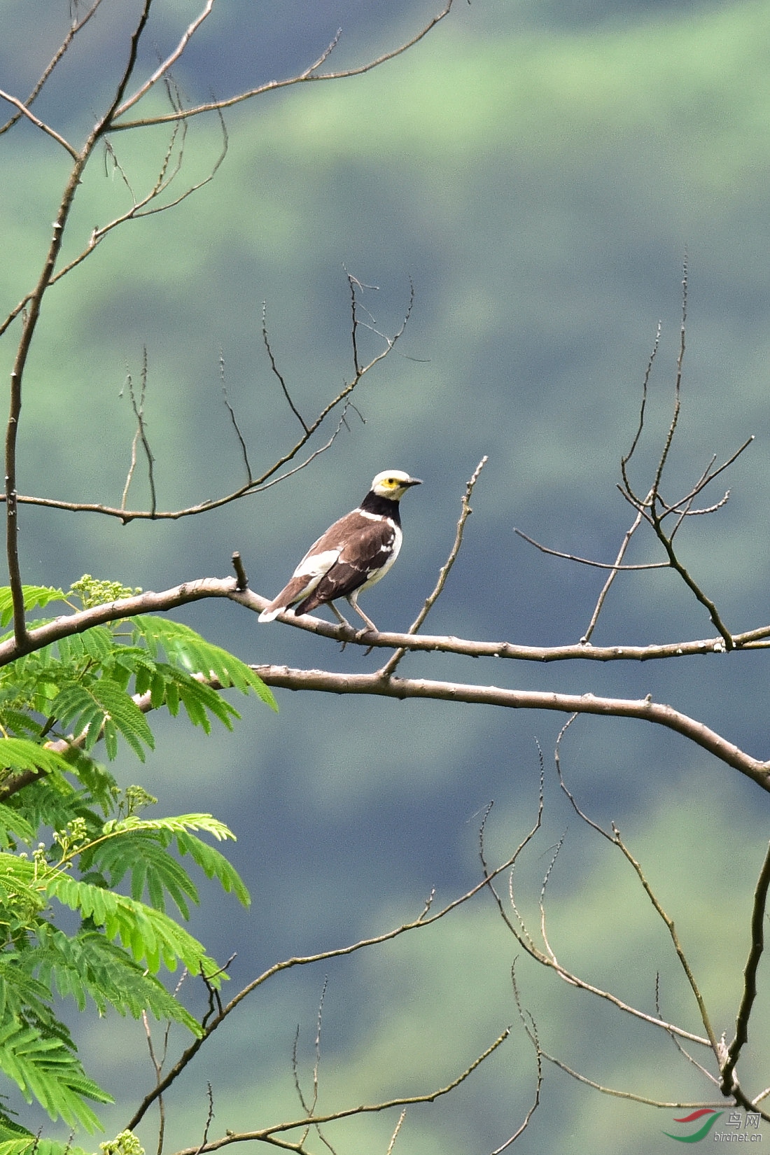DSC_0607.JPG
