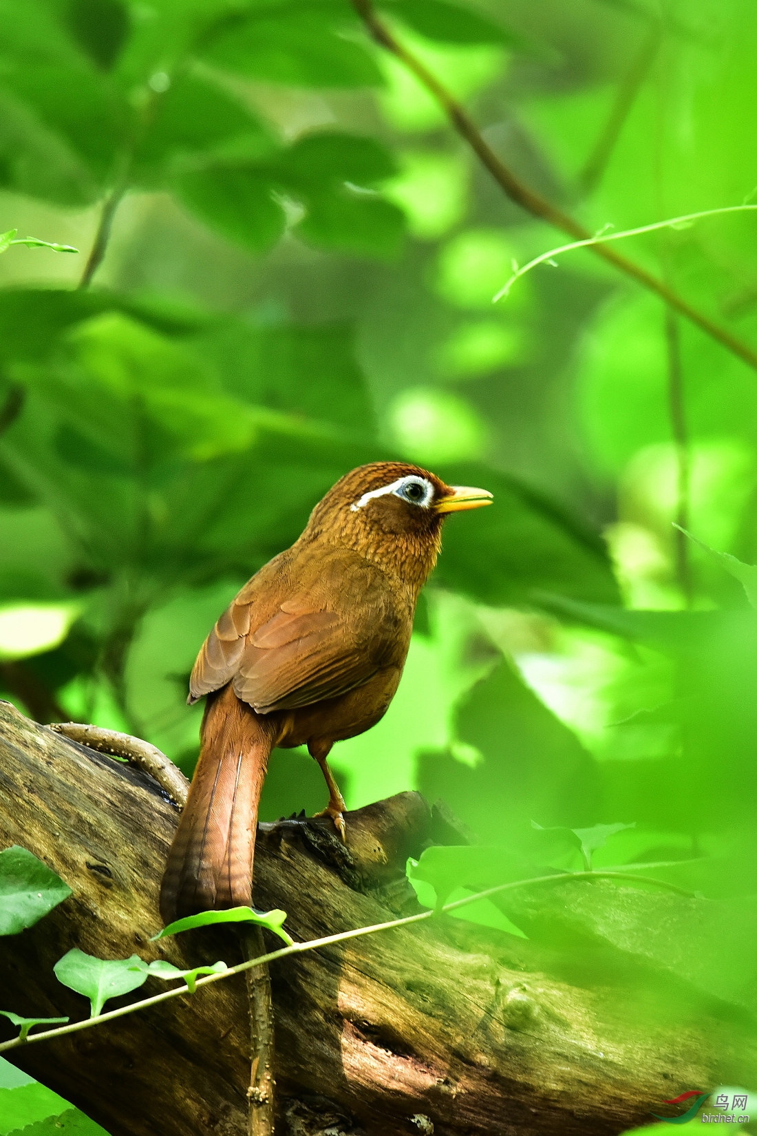 DSC_0610.JPG