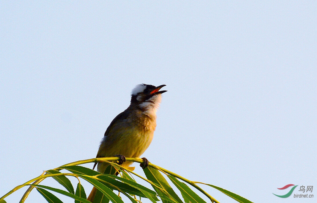 DSC_5452.JPG