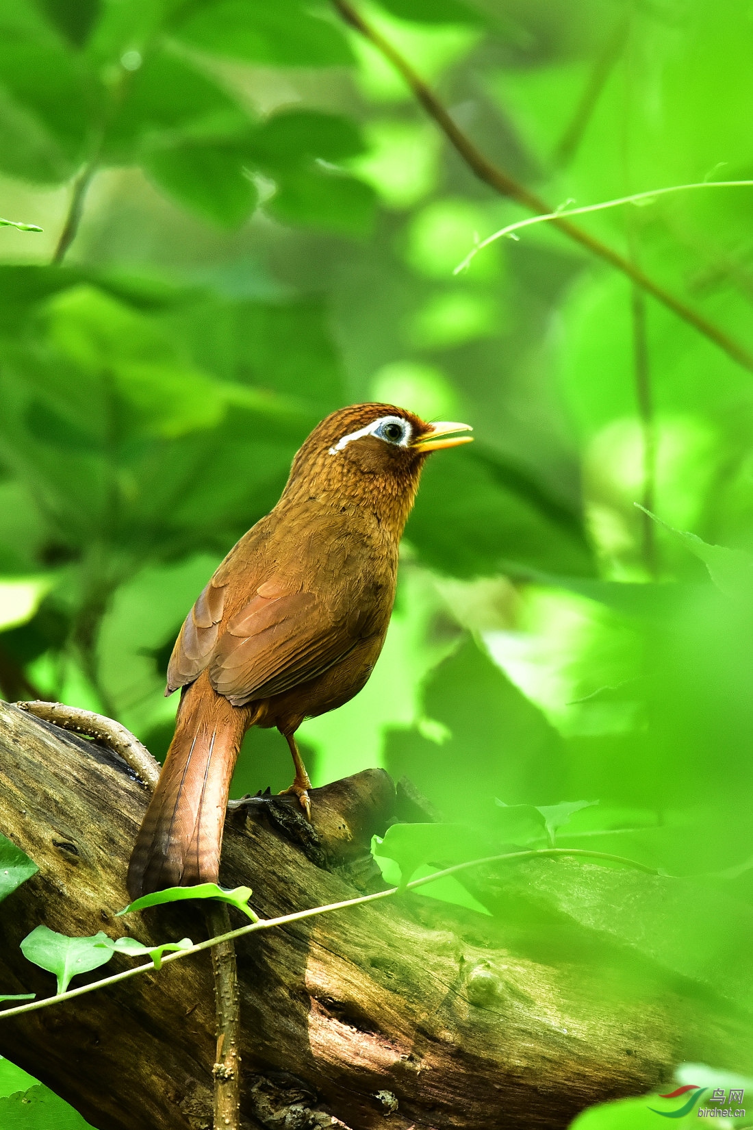 DSC_0612.JPG