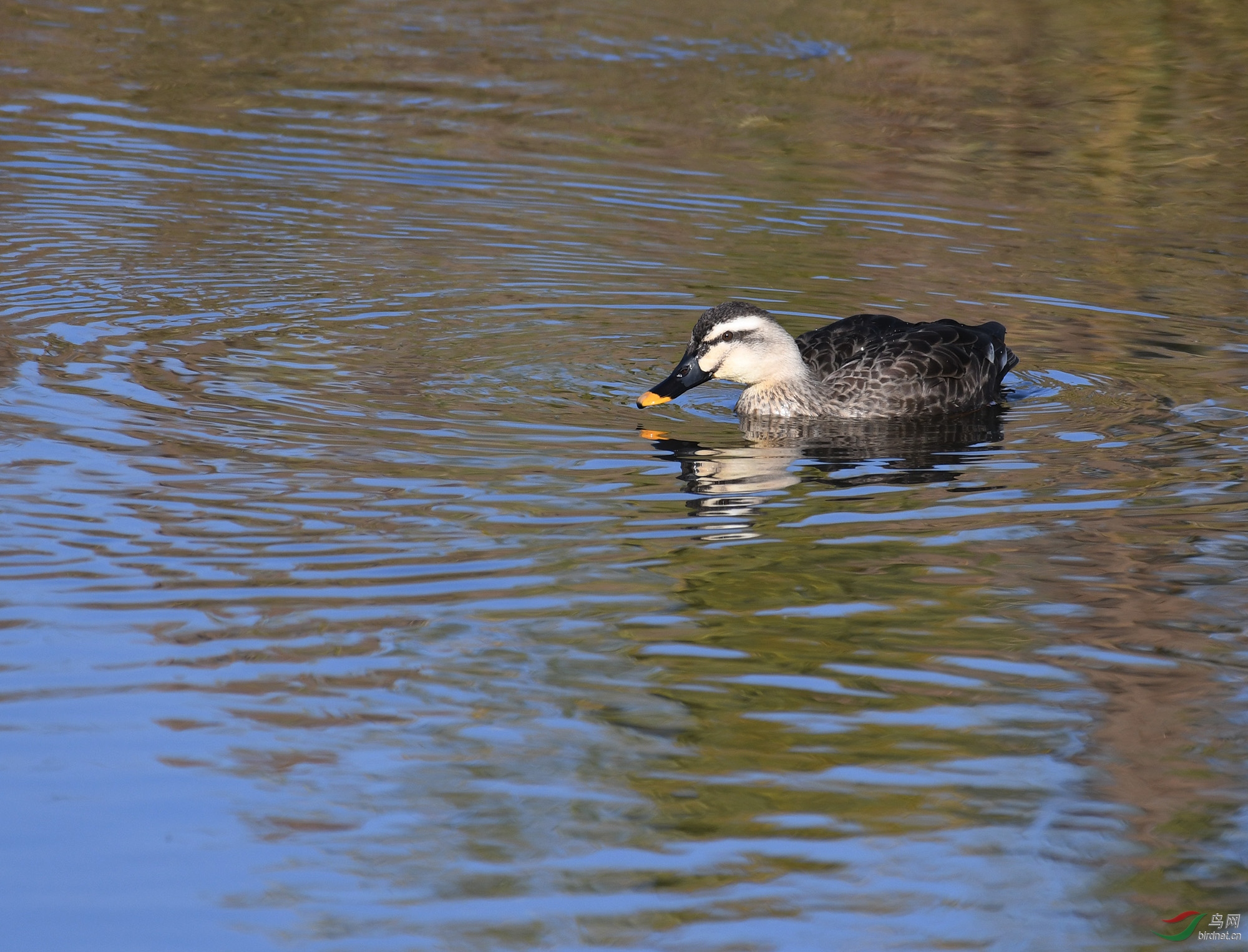 ������Ӱ 351����.jpg