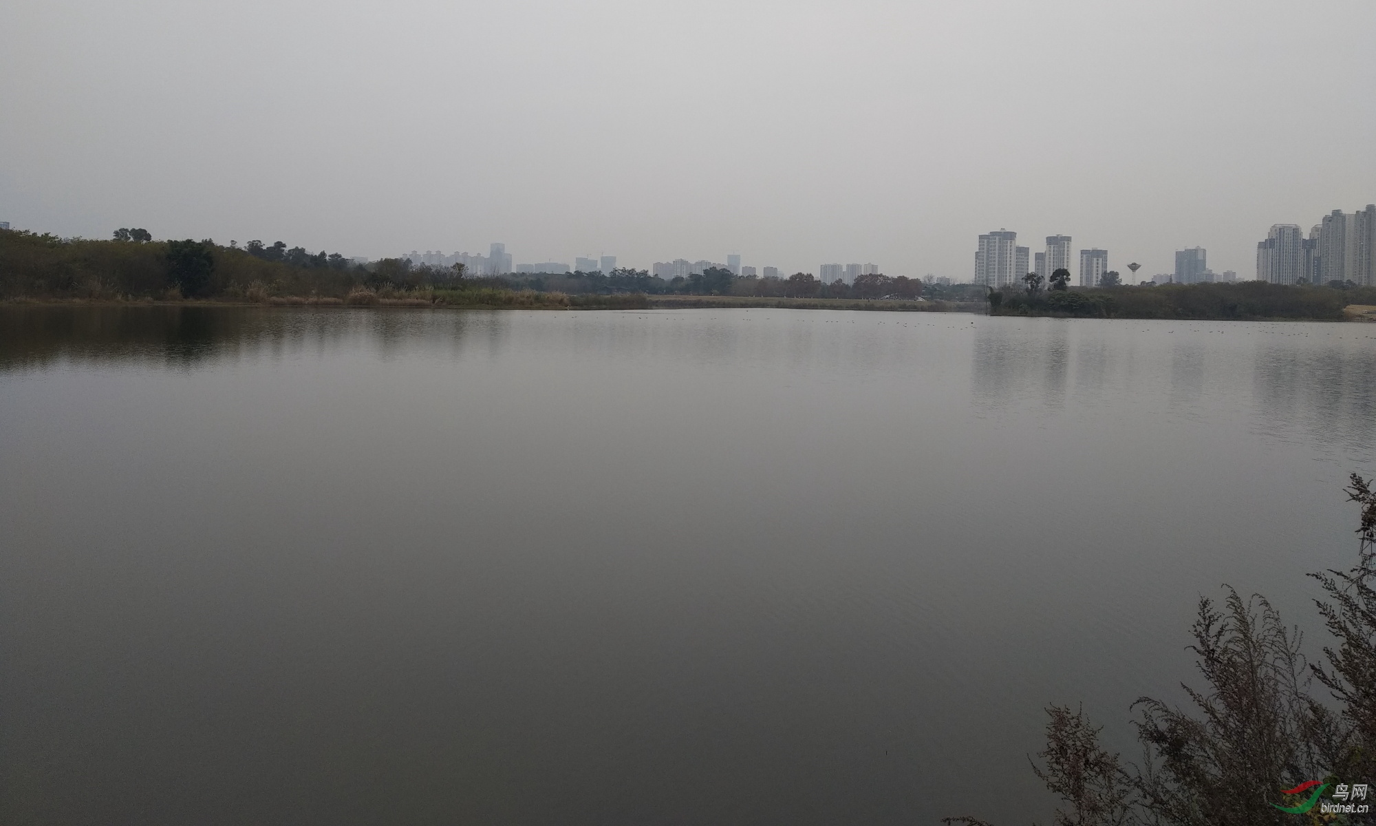 ΢��ͼƬ_20191219162959-1.JPG