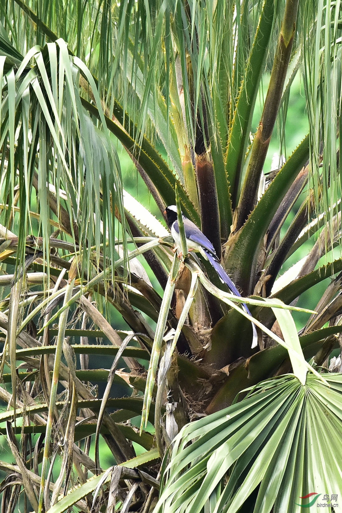 DSC_1044.JPG
