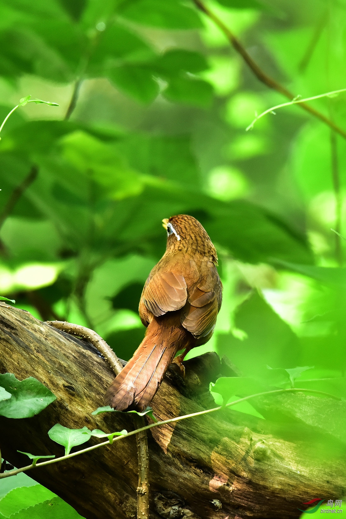 DSC_0614.JPG